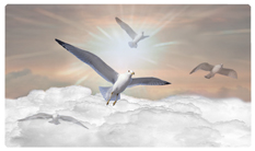 DNSEMP-C-101-BZ Journey Home Clouds Birds Bronze